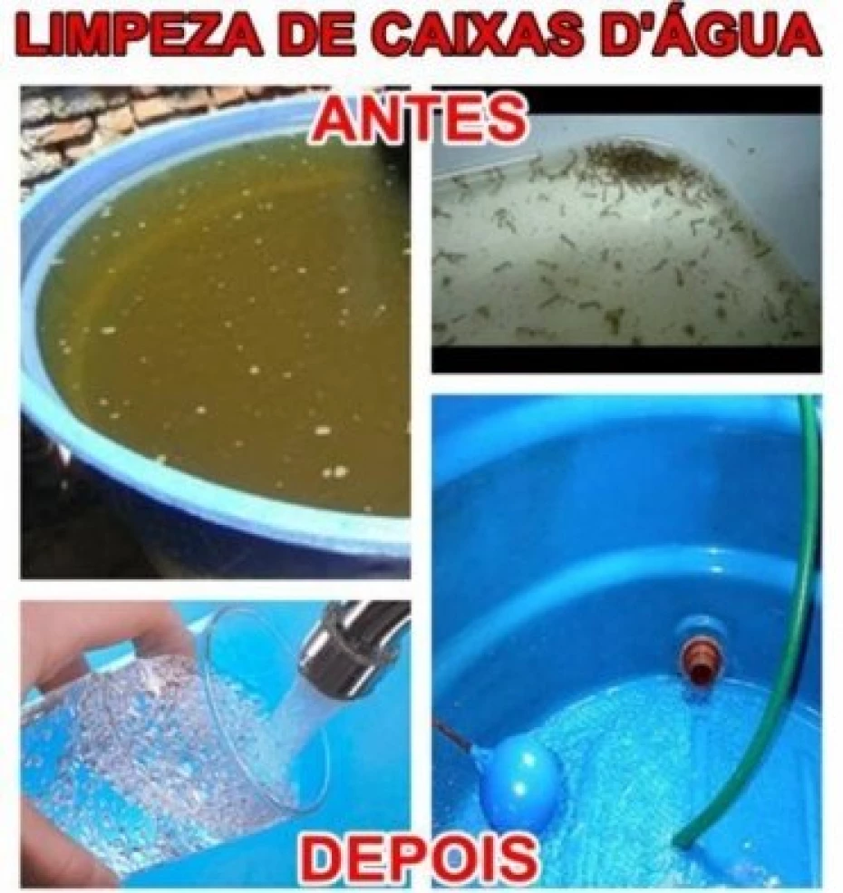 Foto 11:  — SanePrag - Dedetizadora, Desentupidora e Limpadora