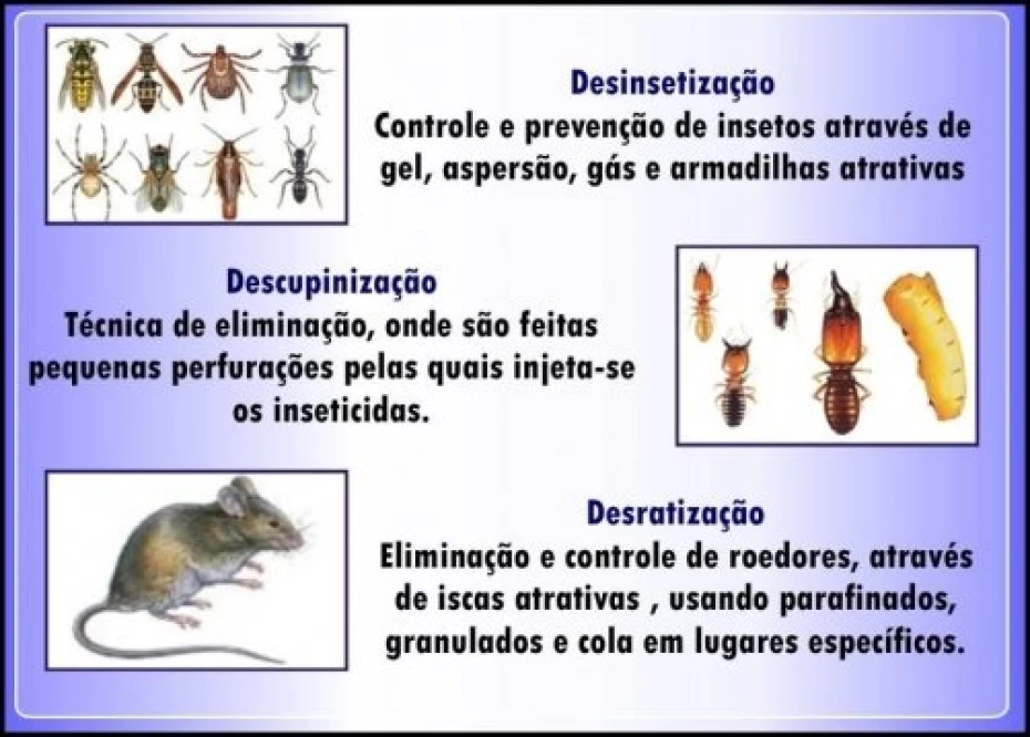 Foto 9:  — SanePrag - Dedetizadora, Desentupidora e Limpadora