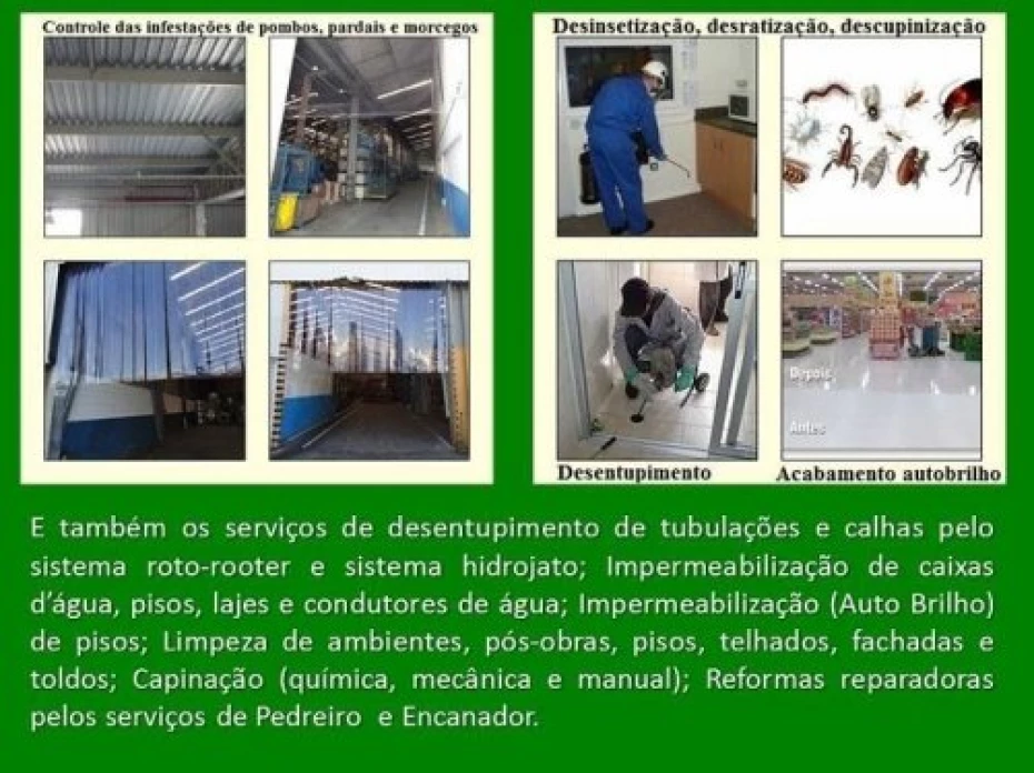 Foto 5:  — SanePrag - Dedetizadora, Desentupidora e Limpadora